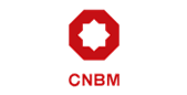 CBM - Audit Client